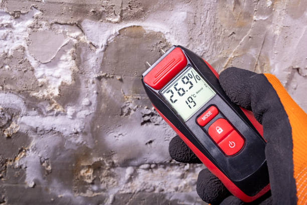 Best Health and Safety Mold Remediation in Sonoma, CA